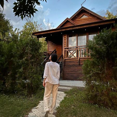 Poiana Bradului Complex Hotelier & Restaurant Colonita Luaran gambar